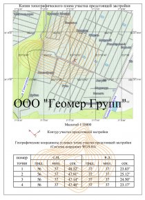 Копия топографического плана предстоящей застройки, г Талдом, СНТ Вымпел