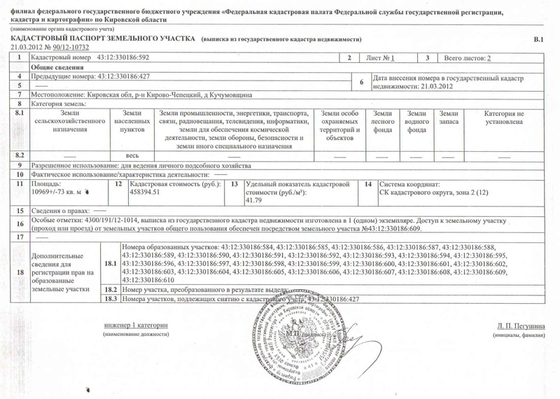 кадастровый план первый раздел образец